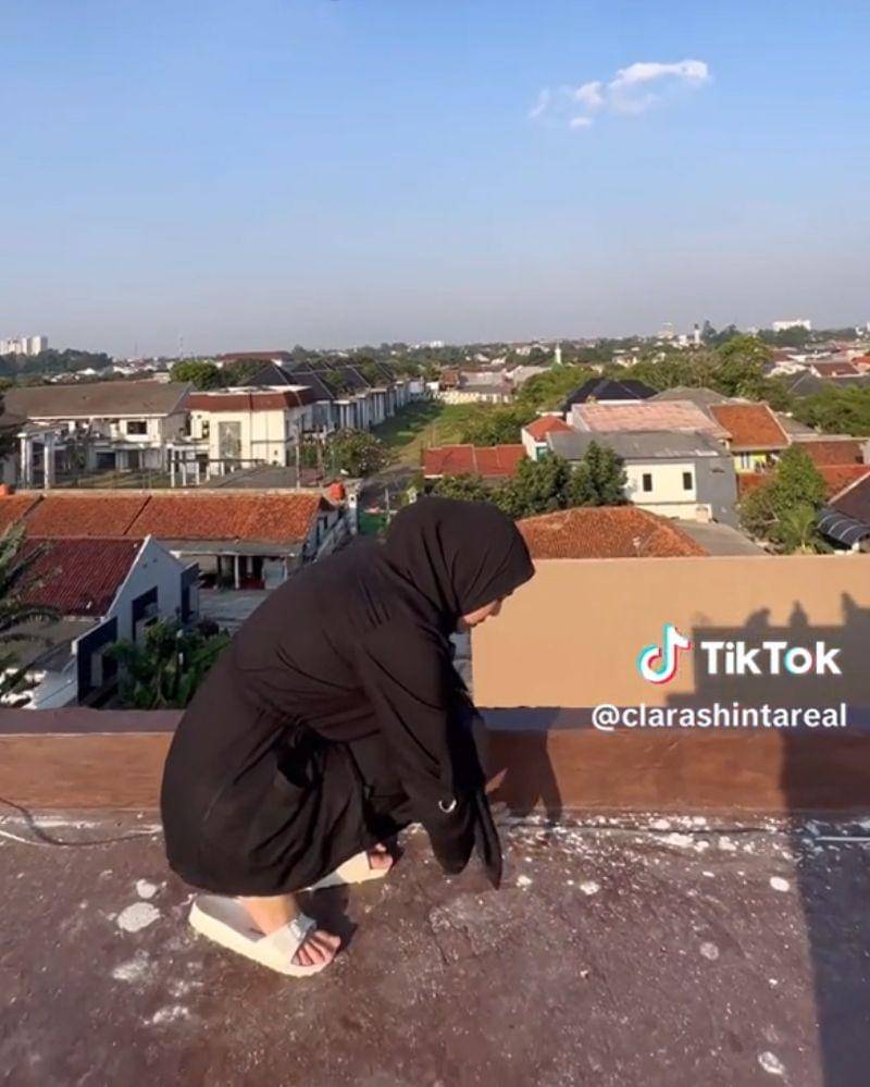 Tiktok.com/clarashintareal